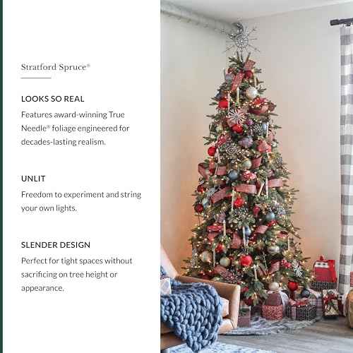 Stratford Spruce