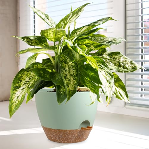 12/10/9 inch Self Watering Pots for Indoor Outdoor Plants, Set of 3 (3 Count)