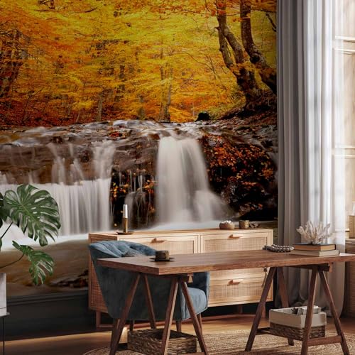 Premium Wall Mural Wallpaper (11 Count)