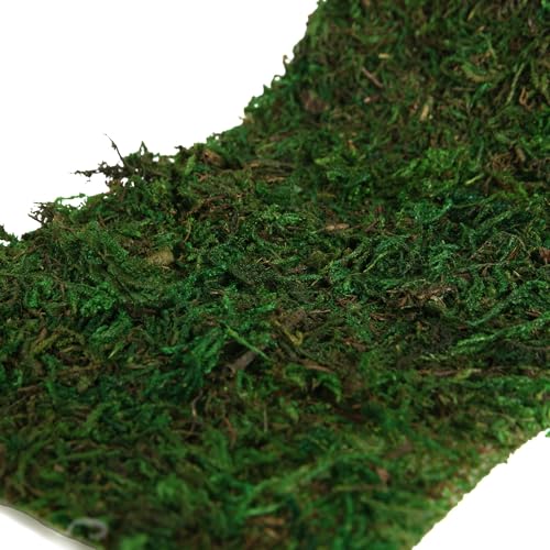 Moss Roll Dried Moss for Crafts