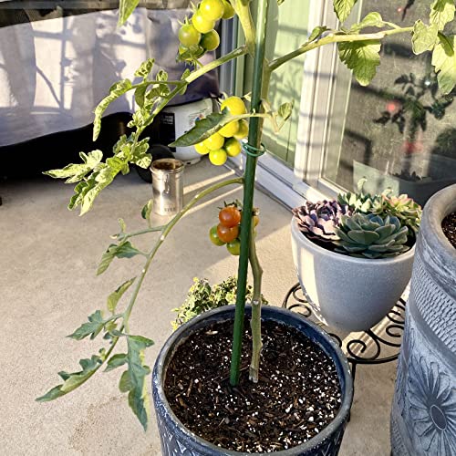 Garden Plant Stakes (25 Count)