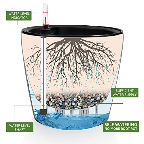 11x10 Self Watering Planter