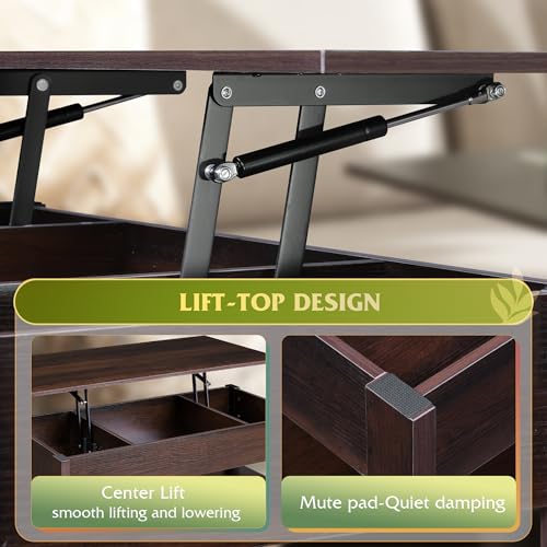 Lift Top Coffee Table with 2 Drawers