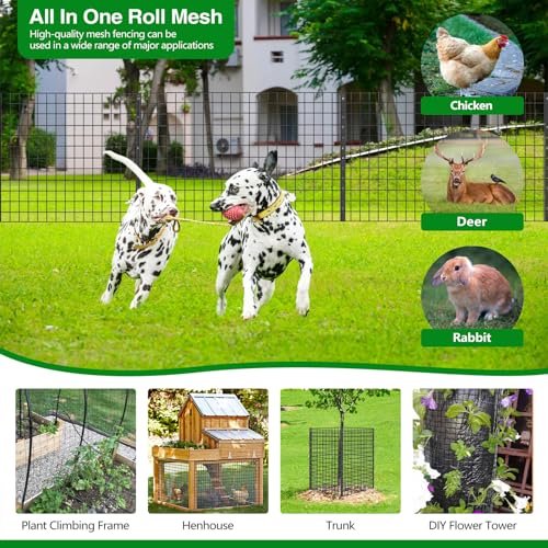 Wire Fence 36 in