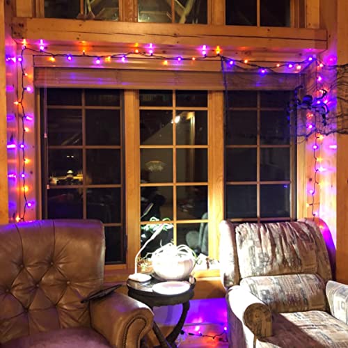 Halloween Fairy String Lights (20 Foot)