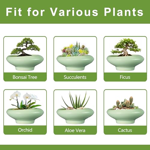 Ceramic Bonsai Pots