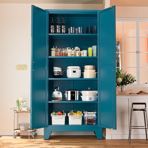 71'' Farmhouse Metal Storage Cabinet with Barn Doors