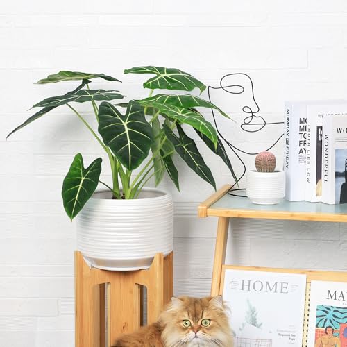 10 Inch Ceramic Plant Pot with Drainage