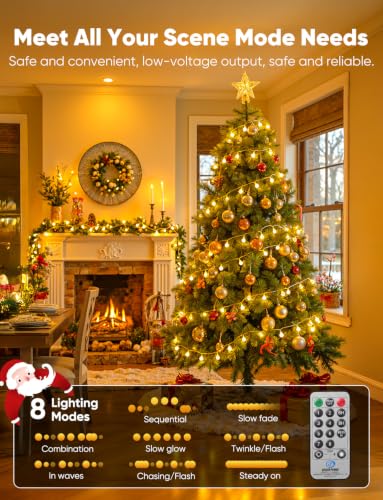 Globe String Lights (66 Foot)