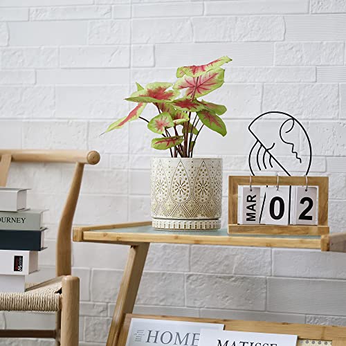 6 Inch Indoor Plant Pots with Drainage Holes and Saucers (2 Count)