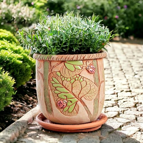 Ceramic Pot with Drainage Hole and Saucer