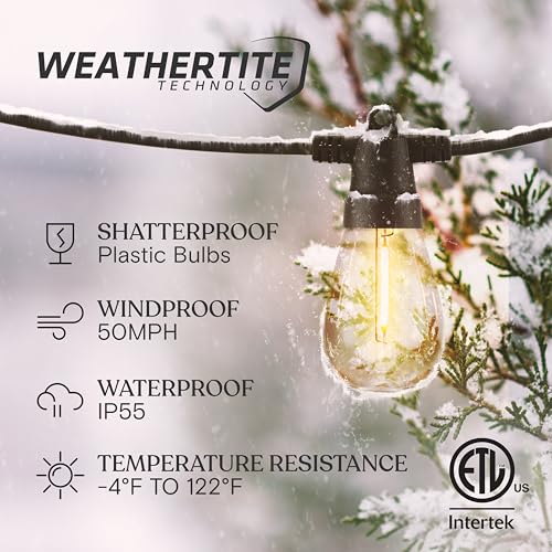 Ambience Pro Super Bright Solar (48 Foot)