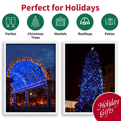 100 LED Blue Christmas Lights (100 Count)