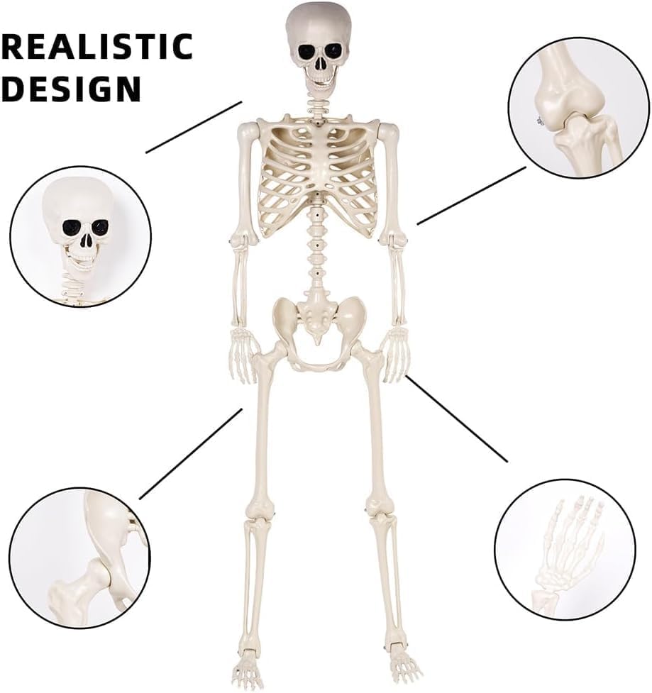 2 Pack 36" Halloween Skeleton