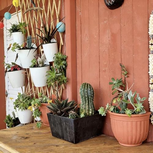 3 Pack Self Watering Wall Hanging Planter Pots Vertical Garden Window Hang Mount Indoor Outdoor Plant Flower Basket for Kitchen Herbs Balcony Railing Shelf Fence Bedroom Trellis Decor Modern White Box (3 Count)