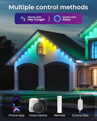 Permanent Outdoor Lights Pro 100ft (100 Foot)