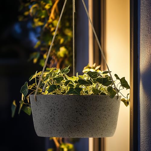 Large Hanging Planters for Outdoor Plants (2 Count)