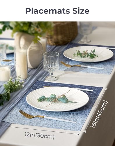 Gradient Blue Woven Placemats Set of 8 (3 Count)