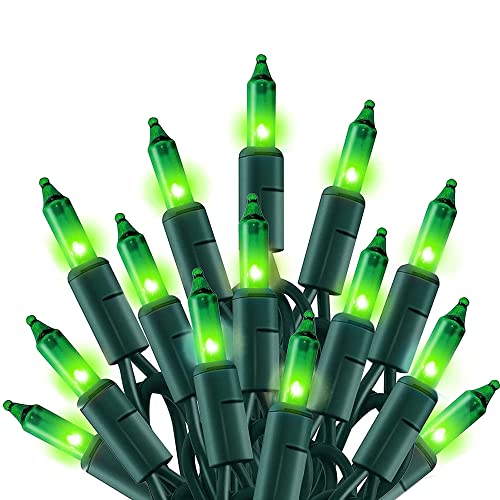 Green Christmas Lights (20 Foot)