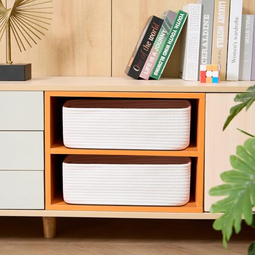 Large Shallow Organizing Baskets 15x11x5.1 Inches (2 Count)