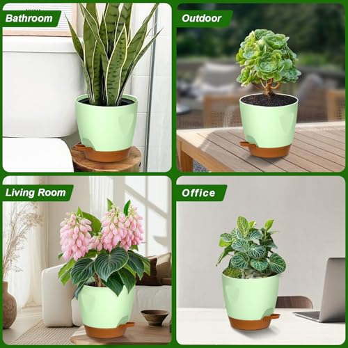5 Pack Plant Pots with Drainage 7 (5 Count)