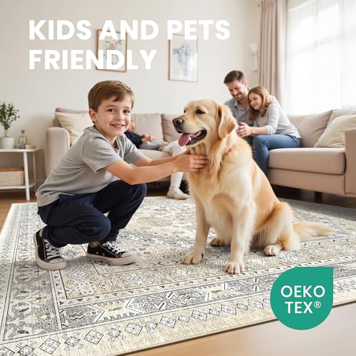 5x7 Area Rugs for Living Room