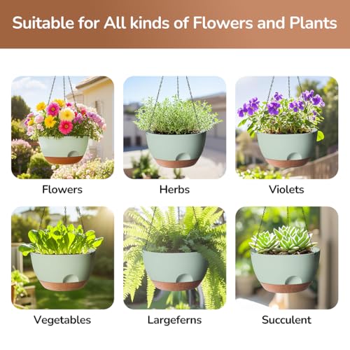 Hanging Planter for Indoor Plants (2 Count)