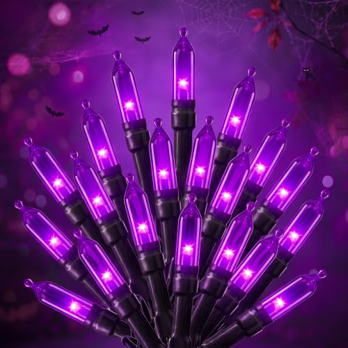 Halloween String Lights Outdoor (76 Foot)