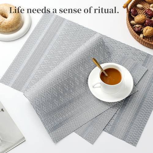 Lunar Grey Placemats Set of 12 (12 Count)