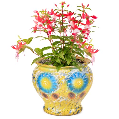 9 Inch Hand Painted Ceramic Succulent Plant Pots