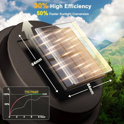 Solar Pathway Lights Outdoor