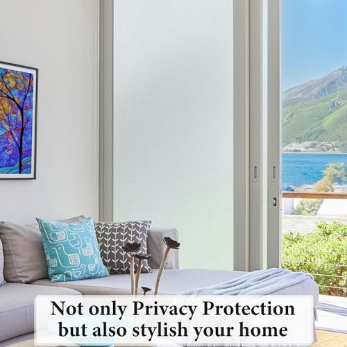Window Privacy Film (69.1 Sq Ft)