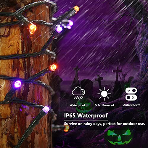 Orange Purple Halloween Solar Lights