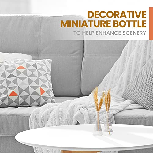 Small Mini Clear Vintage Glass Bottles with Corks (12 Count)