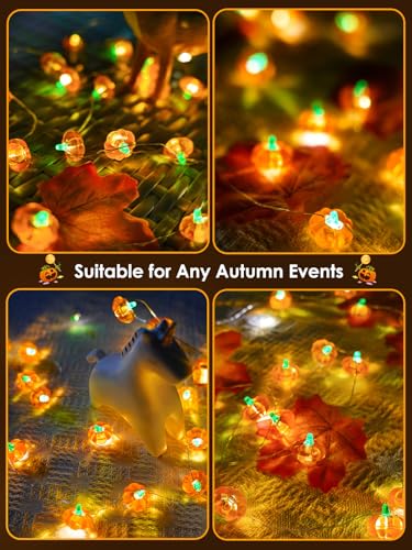Fall Decor 10FT 3D Pumpkin Fairy Lights Battery Operated With Remote Orange