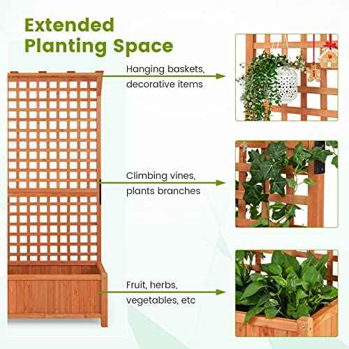2 Pcs Raised Garden Bed with Trellis (2 Count)
