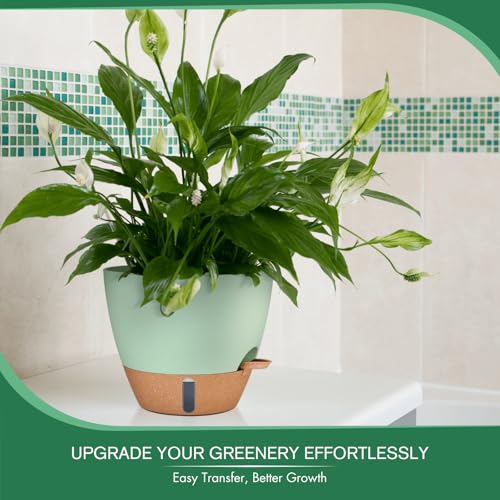 2 Pack 10 inch Plant Pots (2 Count)