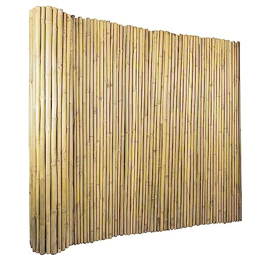 6Ft High x 8 Ft Long x 0.7In D Bamboos Screen (48 Sq Ft)