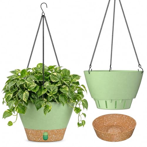 2 Pack 10 Inch Hanging Baskets for Plants Outdoor Indoor (72 Count)