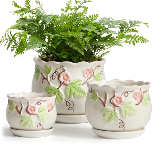 Ceramic Plant Pots with Drainage Holes and Saucers (3 Count)