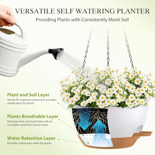 12 Inch Hanging Baskets 2 PC with Chains (2 Count)