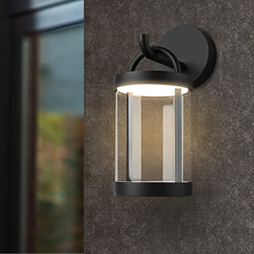 LED Wall Sconce Light Outdoor
