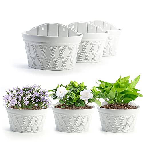 Wall Hanging Planters (3 Count)
