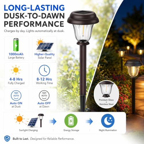 Solar Lights Outdoor (6 Count)