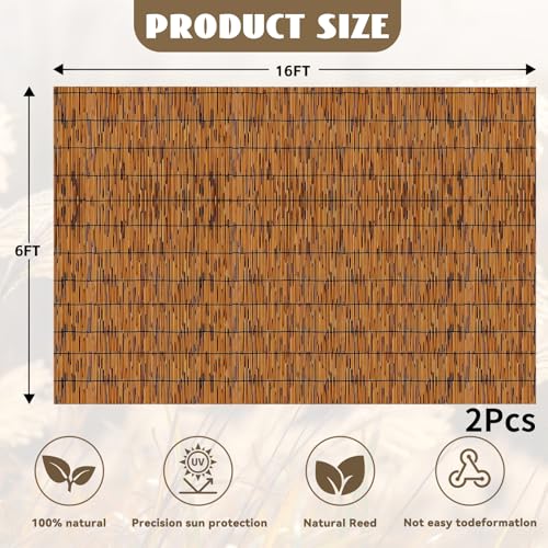 Bamboo Reed Fencing (384 Sq Ft)