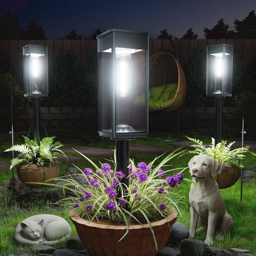 Solar Lights Outdoor (6 Count)