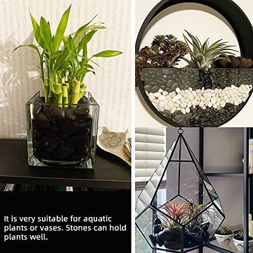45lb Black Pebbles for Plants (720 Ounce)