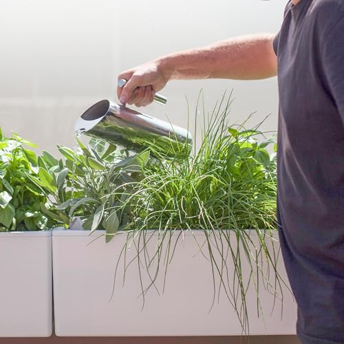 Self Watering Planter Box