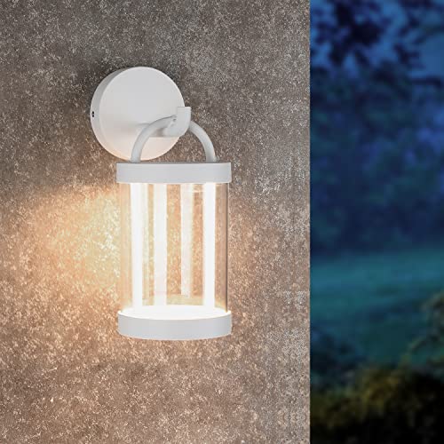 LED Wall Sconce Light Outdoor