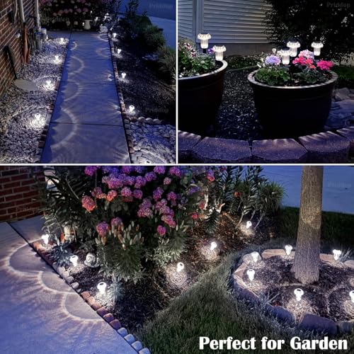8 Pack Solar Pathway Lights Outdoor Waterproof 6000K Cool White LED (8 Count)